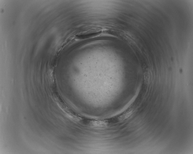 X0000053080327200508012013