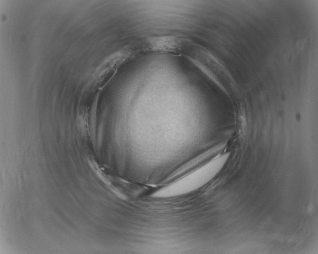 X0000053080329200508012013