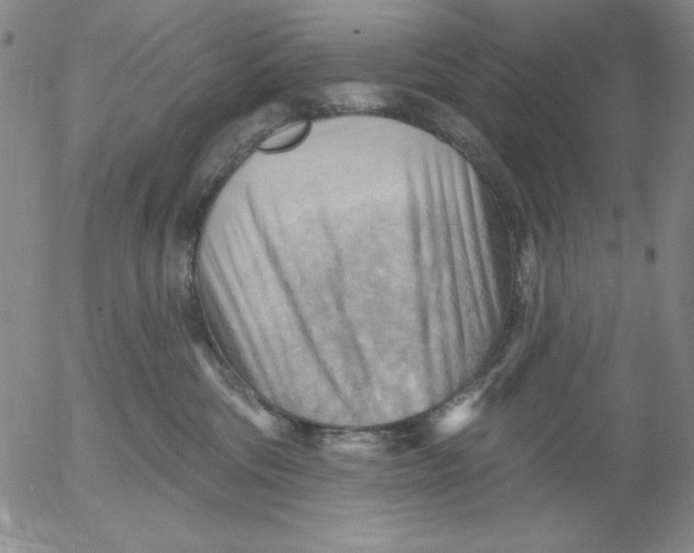 X0000053080330200508012013