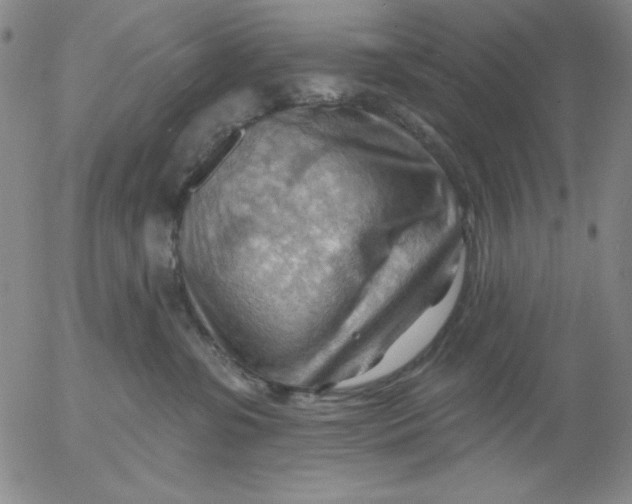 X0000053080331200508012013