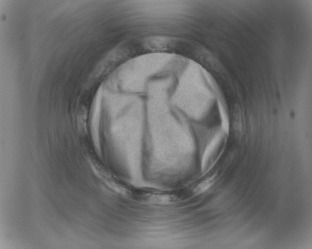 X0000053080332200508012013