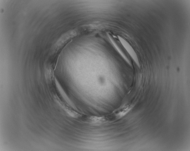 X0000053080333200508012013