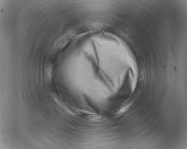 X0000053080334200508012013