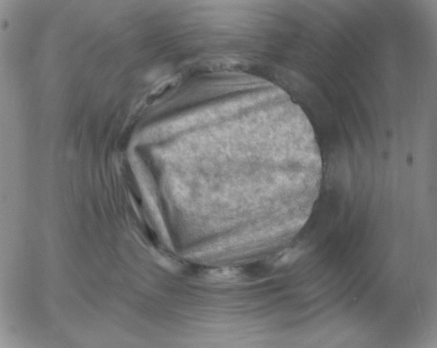 X0000053080335200508012013