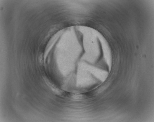 X0000053080336200508012013