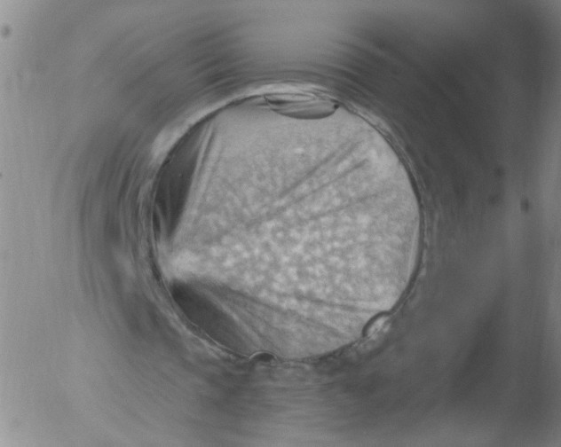 X0000053080337200508012012