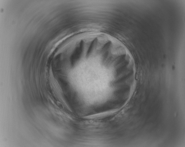 X0000053080338200508012012