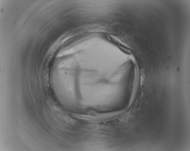 X0000053080339200508012012