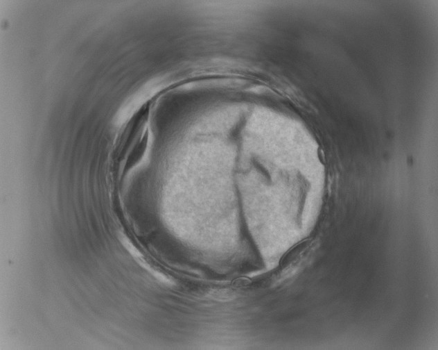 X0000053080341200508012012