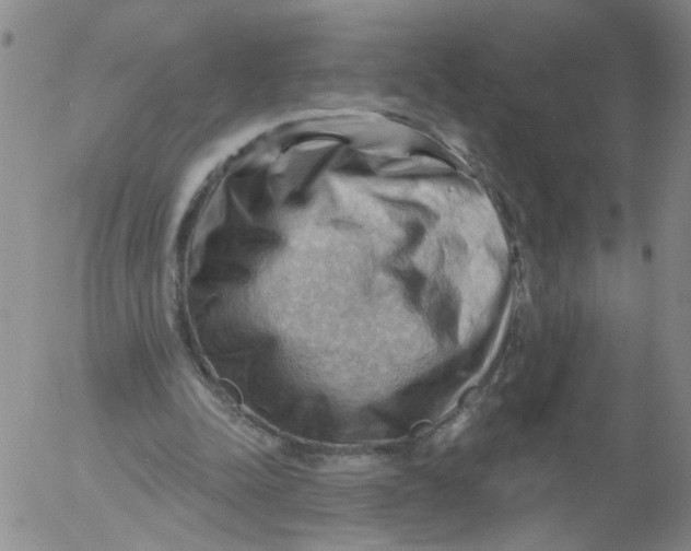 X0000053080342200508012012