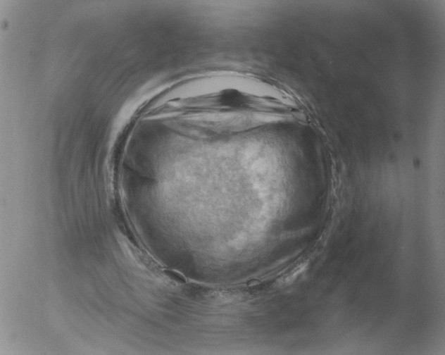 X0000053080343200508012012