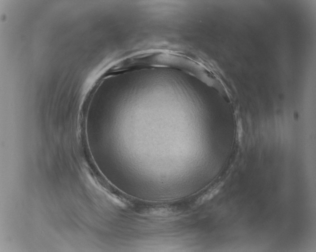 X0000053080344200508012012