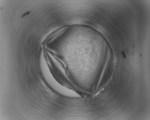 X0000053080345200508012012