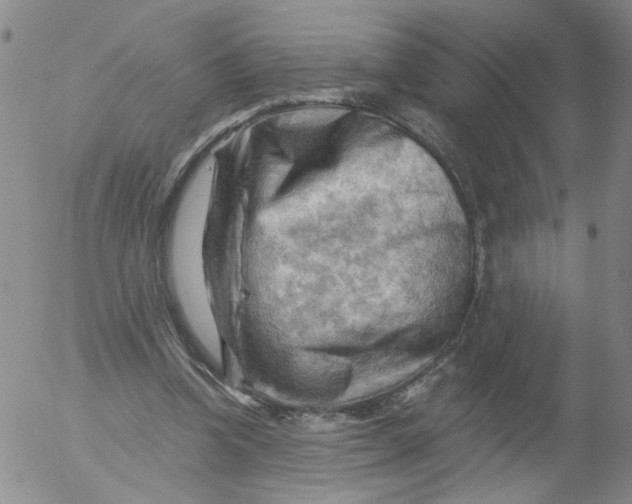 X0000053080346200508012012