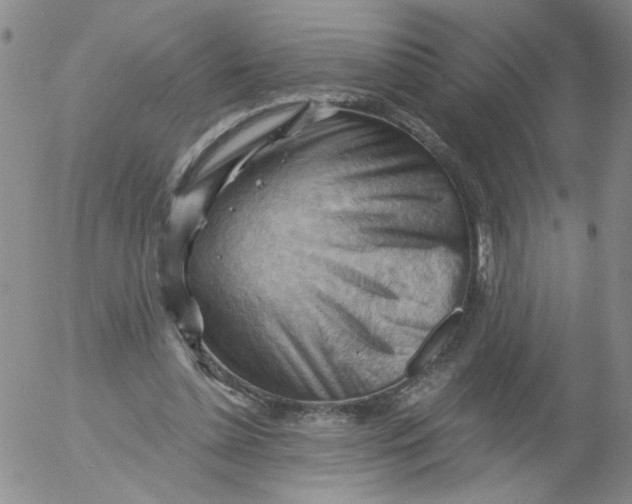 X0000053080348200508012012