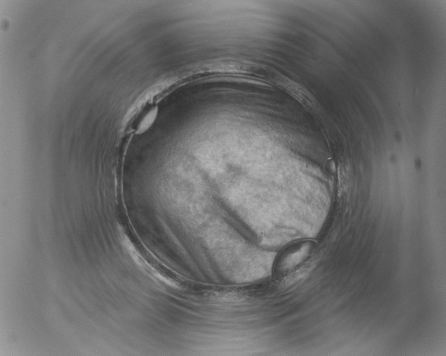 X0000053080349200508012012