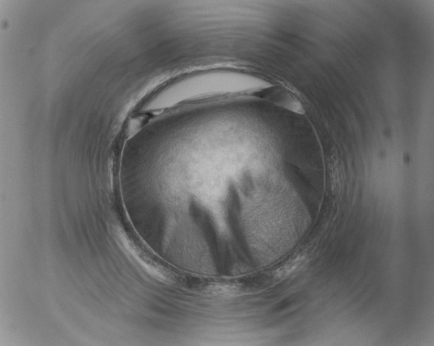 X0000053080350200508012012