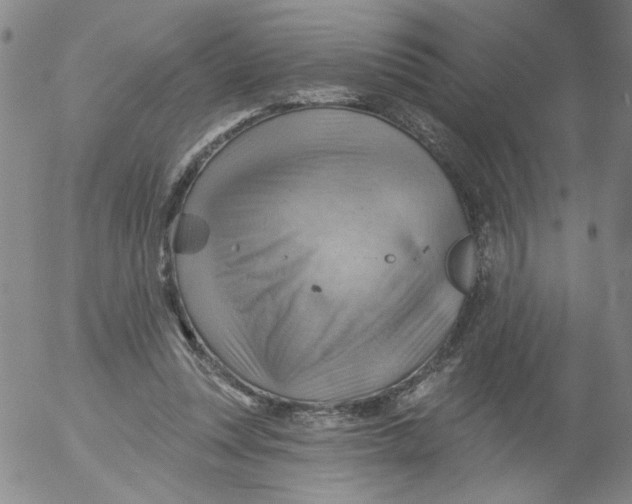 X0000053080351200508012012