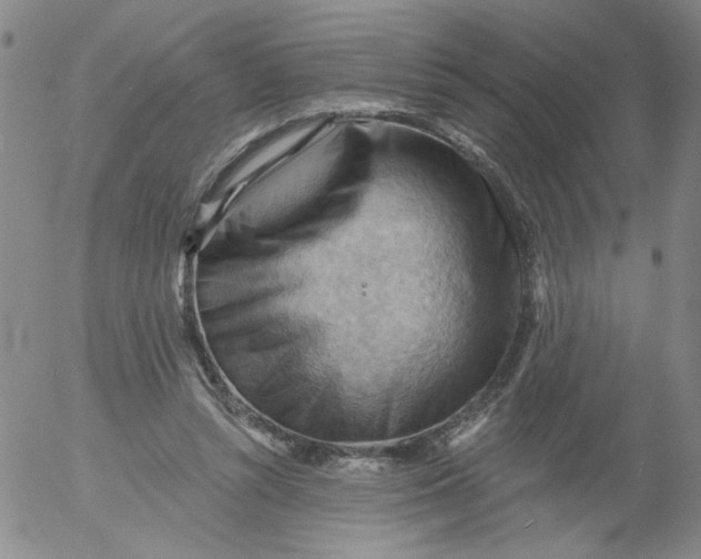 X0000053080352200508012012