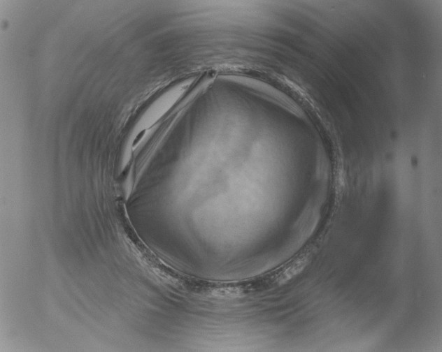 X0000053080353200508012012