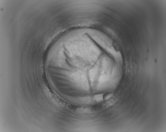 X0000053080354200508012012