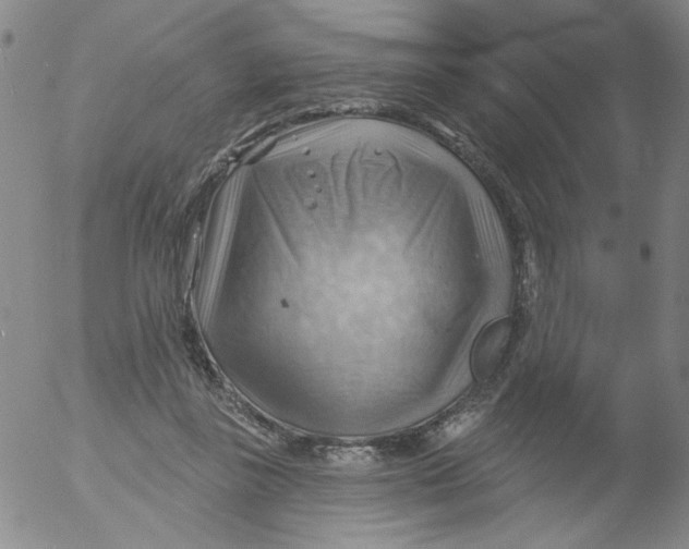 X0000053080355200508012012