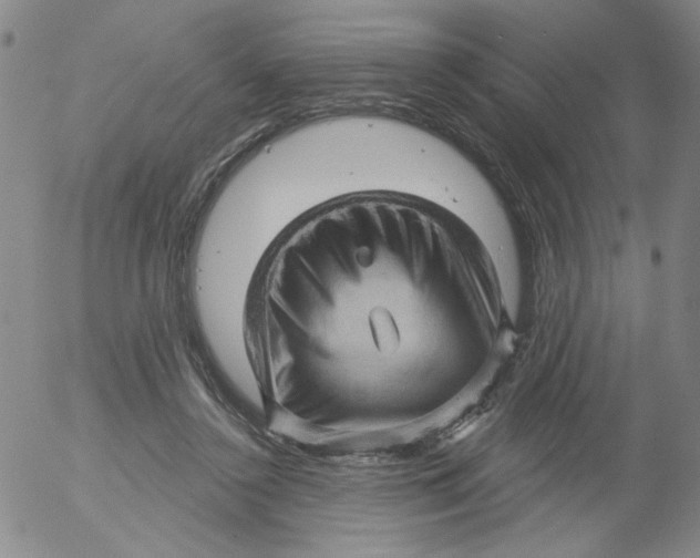 X0000053080356200508012012