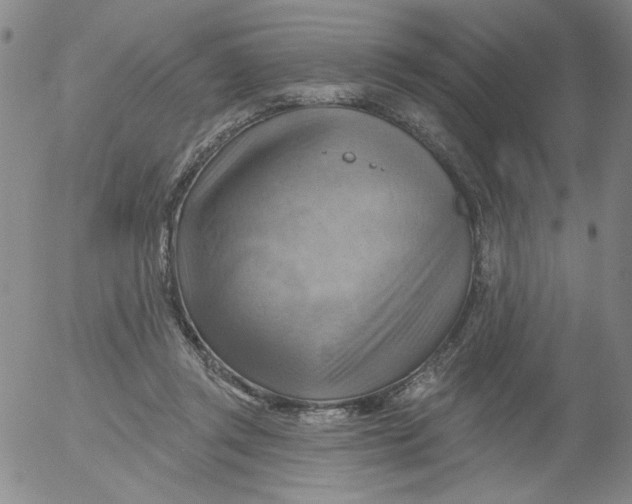 X0000053080357200508012012