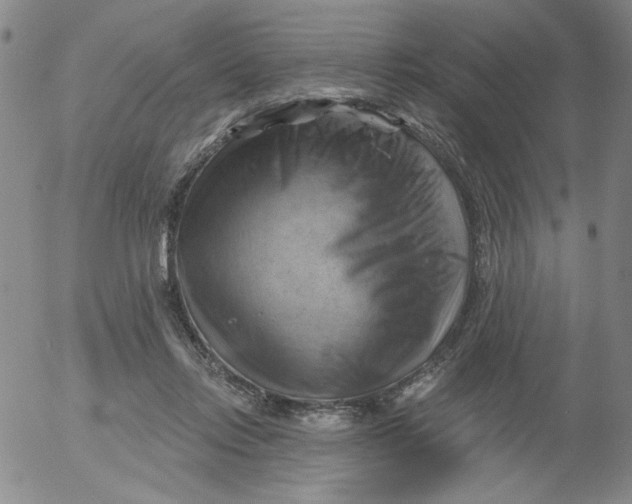 X0000053080358200508012012