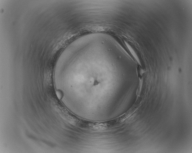 X0000053080359200508012012