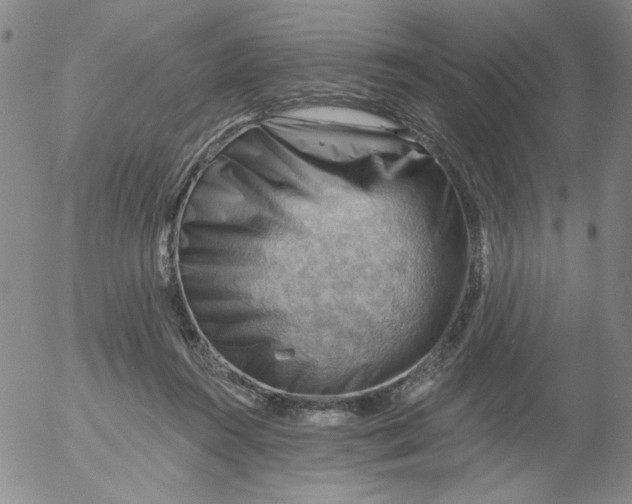 X0000053080360200508012012