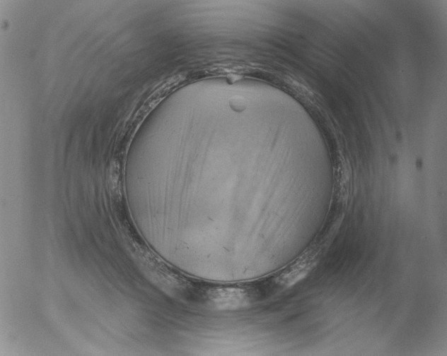 X0000053080361200508012012