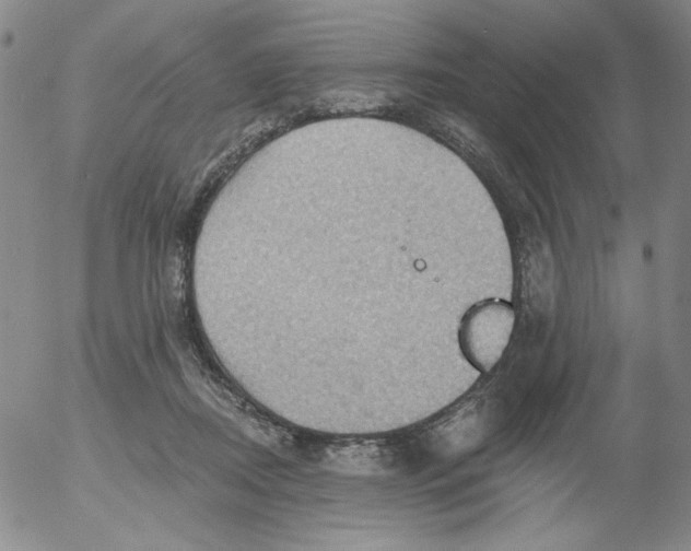 X0000053080362200508012012