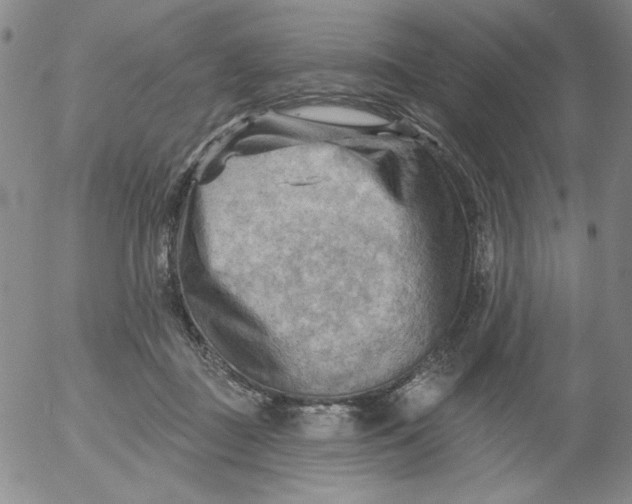 X0000053080363200508012012