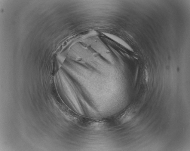 X0000053080364200508012012