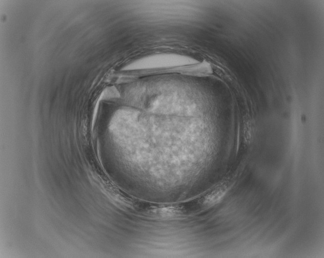 X0000053080365200508012012