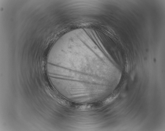 X0000053080366200508012012