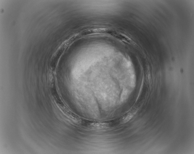 X0000053080367200508012012