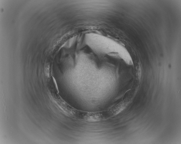 X0000053080368200508012012