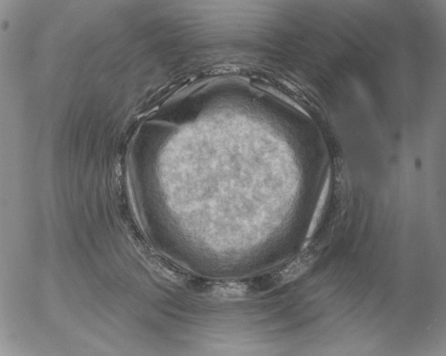 X0000053080369200508012012