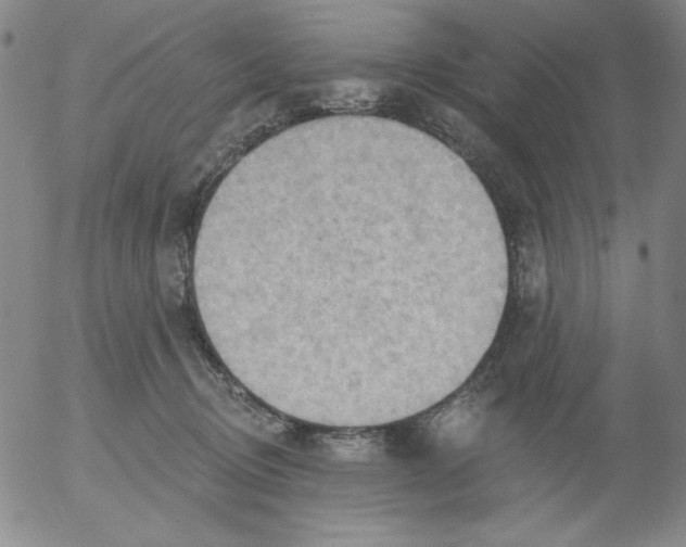 X0000053080370200508012012