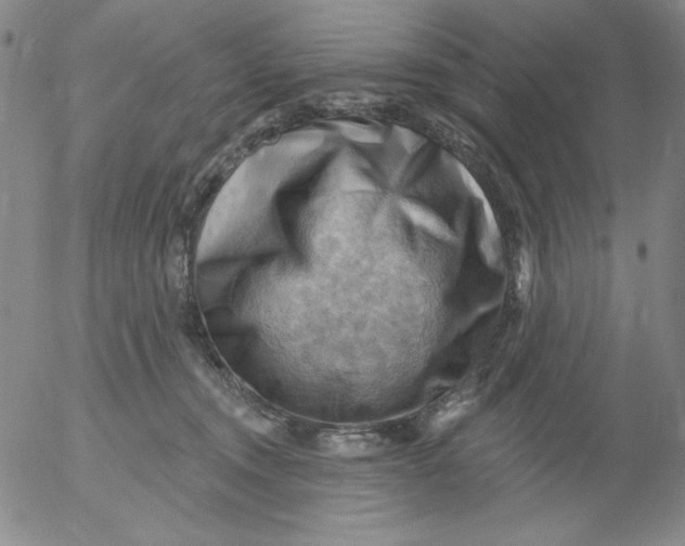 X0000053080372200508012012