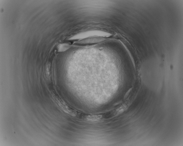 X0000053080373200508012012