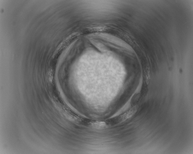 X0000053080374200508012012