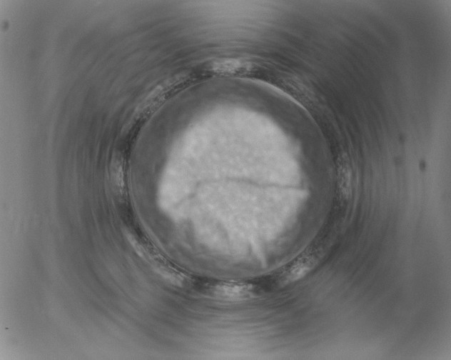 X0000053080375200508012012