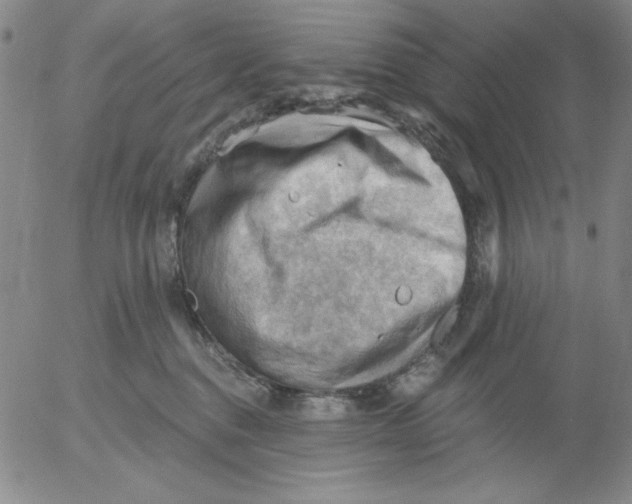 X0000053080376200508012012