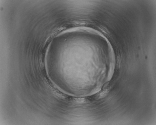 X0000053080377200508012012