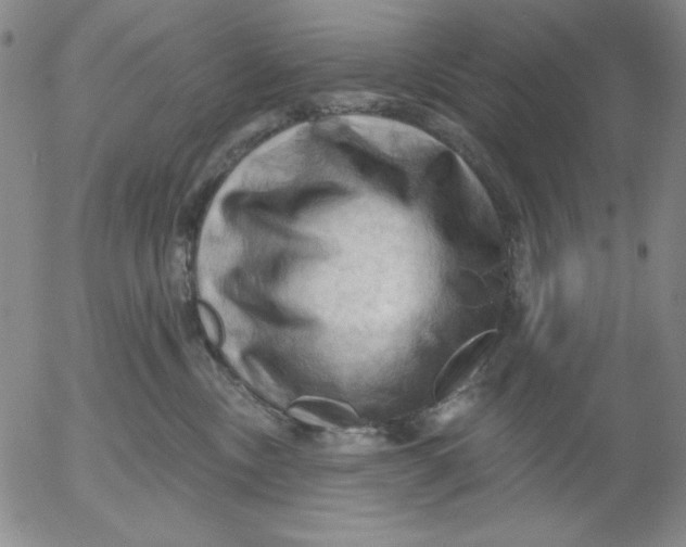 X0000053080378200508012012