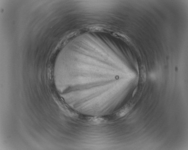 X0000053080379200508012012