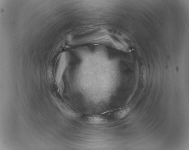 X0000053080380200508012012